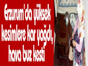 Erzurum'da yüksek kesimlere kar yağdı, hava buz kesti