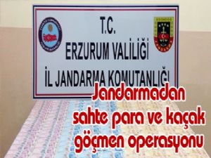Jandarmadan sahte para ve kaçak göçmen operasyonu
