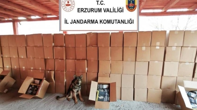 Kaçakçılık ve organize suçlara geçit yok