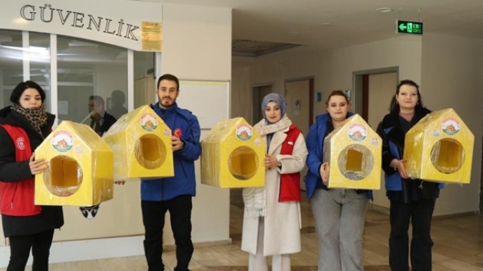 Sokak kedileri unutulmadı