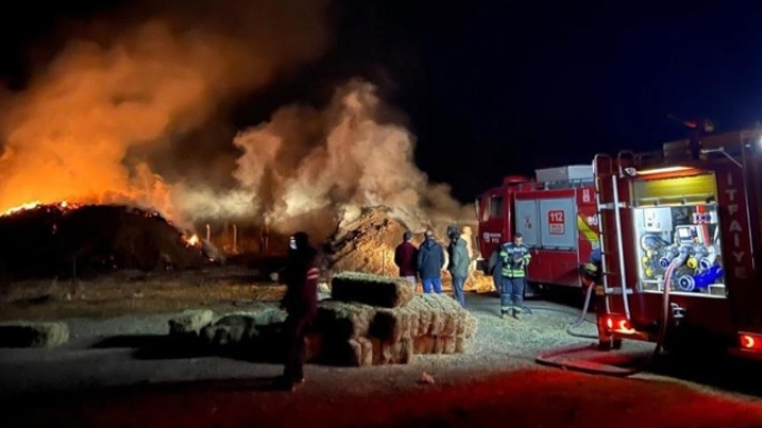 Tekman’da 2 bin 500 balya ot kül oldu